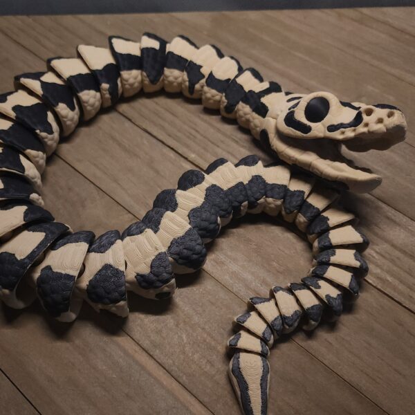 Ball Pythons