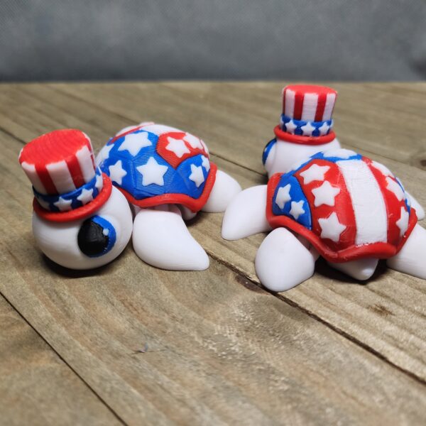 Patriotic Turtle