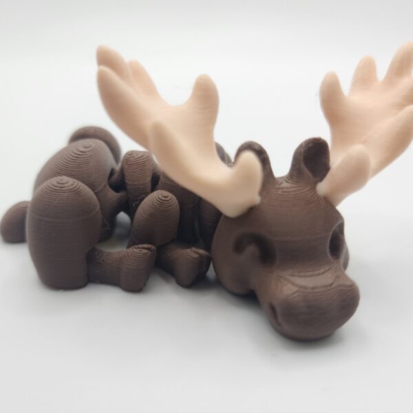Moose