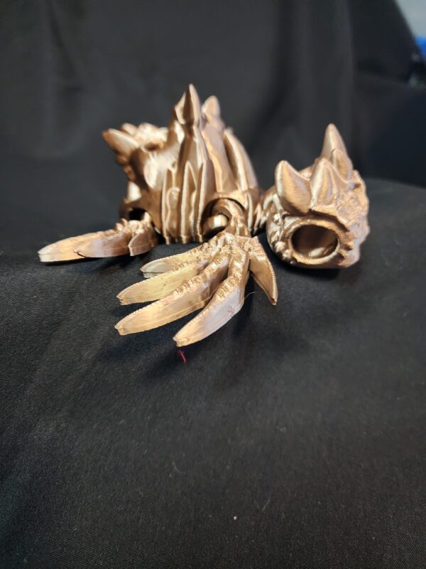 Hollow turtle
